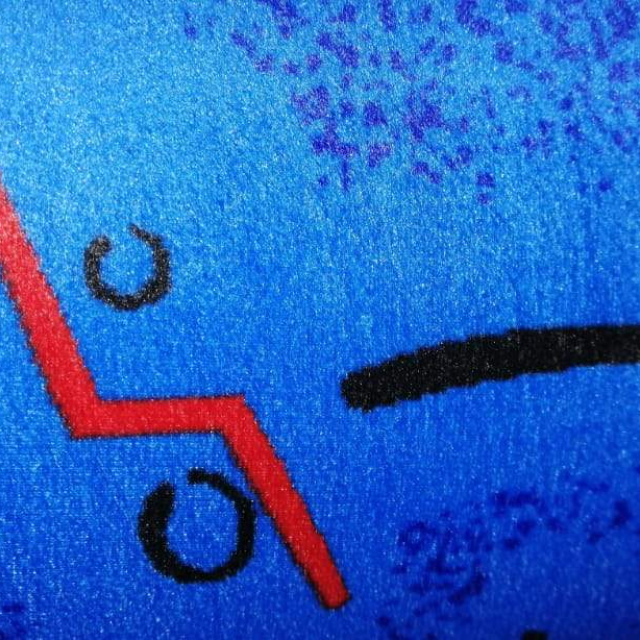 Tapiz para automóviles 
